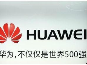 国产网址大全,一站式掌握国内优质网站资源